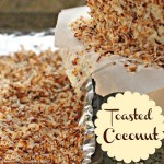 toasted-coconut-tutorial
