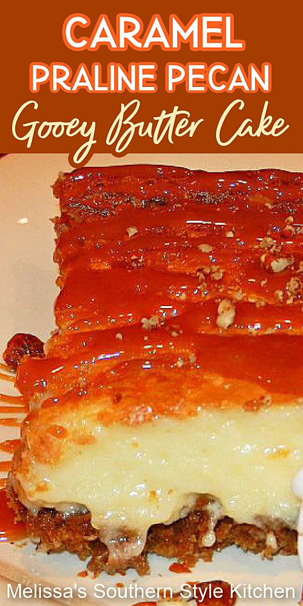 Caramel, pralines nd gooey butter cake colloide in this Caramel Praline Pecan Gooey Butter Cake #caramelgooeybuttercake #gooeybuttercakerecipes #pralinepecans #southerncakes #southerndesserts #gooeybuttercake