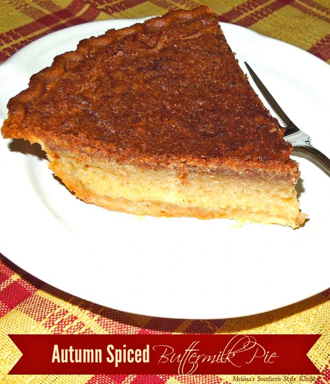 Single piece of Autumn Spiced Buttermilk Pie on a plate