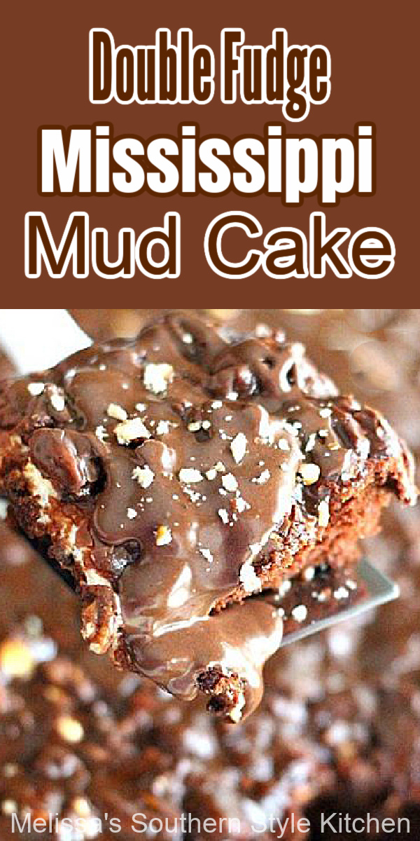 This gooey Double Fudge Mississippi Mud Cake features marshmallows and a velvety fudge frosting that makes it irresistible #mississippimudcake #doublefudgecake #chocolatesheetcake #mississippicake #choclatecakerecipes #southerndesserts