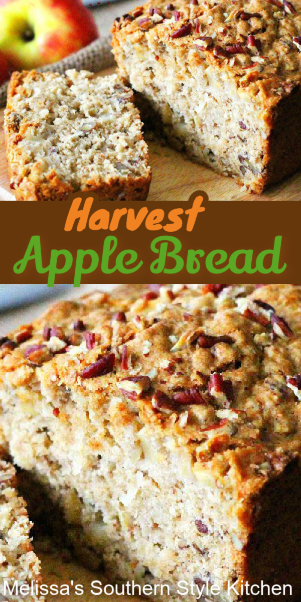 This pecan filled Harvest Apple Bread is a true delight with a cup of coffee or tea #applebread #apples #appledesserts #quickbreadrecipes #homemadebread #breadrecipes #harvest #brunch #breakfast #dessertfoodrecipes #southernfood #southernrecipes