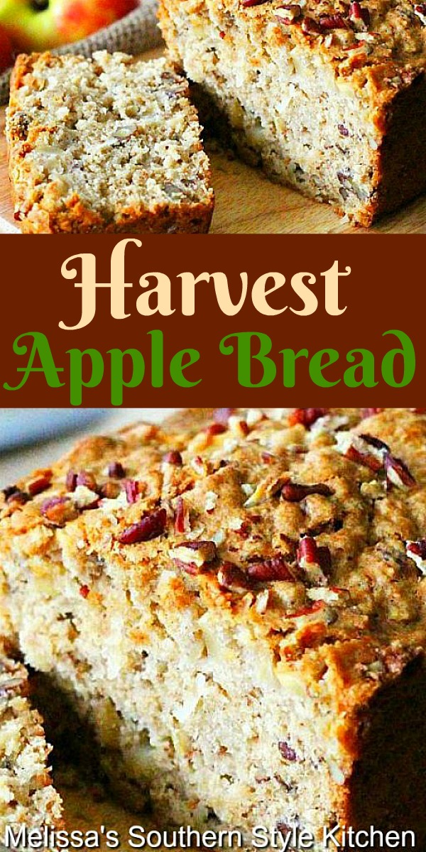 This pecan filled Harvest Apple Bread is a true delight with a cup of coffee or tea #applebread #apples #appledesserts #quickbreadrecipes #homemadebread #breadrecipes #harvest #brunch #breakfast #dessertfoodrecipes #southernfood #southernrecipes