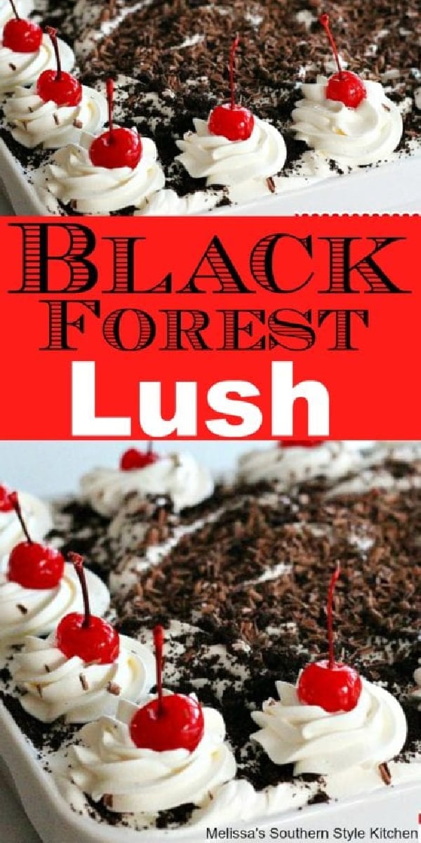 This decadent Black Forest Lush is a special dessert for a special occasion #blackforestlush #blackforest #lushrecipes #lush #desserts #dessertfoodrecipes #cherries #chocolate #chocolatecherries #holidaybaking #holidayrecipes #southernfood #southernrecipes