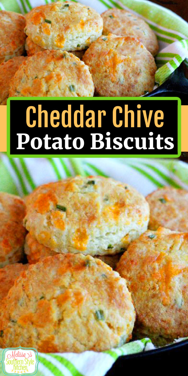 Enjoy these Cheddar Chive Potato Biscuits with butter straight fresh and hot straight from the oven. #cheddarbiscuits #biscuits #potatobread #potatobiscuits #biscuitrecipes #southernbiscuits #biscuitrecipes #southernfood #southernrecipes #potatoes via @melissasssk