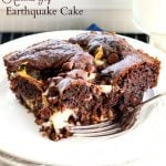Recipe For Almond Joy Earthquake Cake