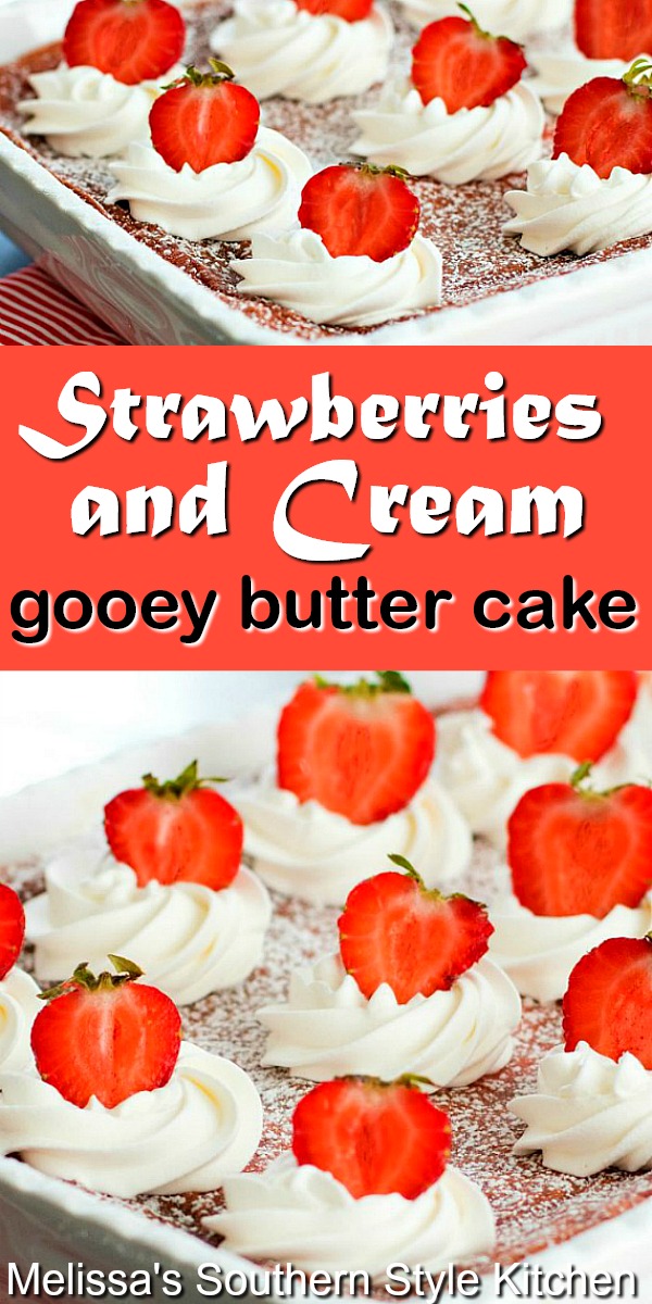 Ooey gooey delicious Strawberries and Cream Gooey Butter Cake #strawberriesandcream #gooeybuttercake #cakerecipes #strawberrycake #cakes #strawberry #desserts #dessertfoodrecipes #southernfood #southernrecipes