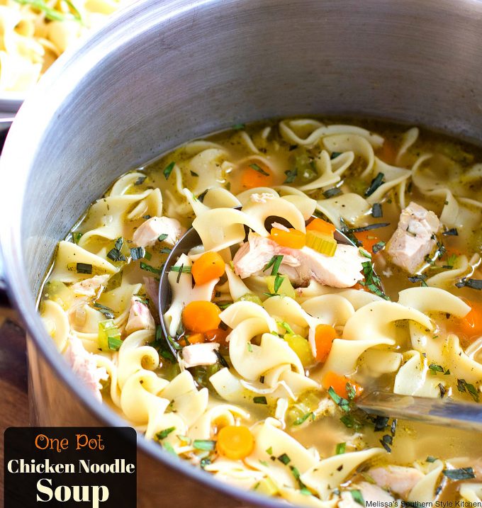 cooked Chicken Noodle Soup