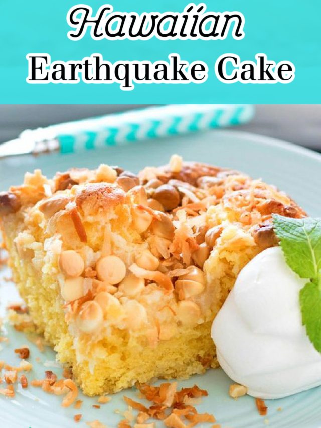 HAWAIIAN EARTHQUAKE CAKE