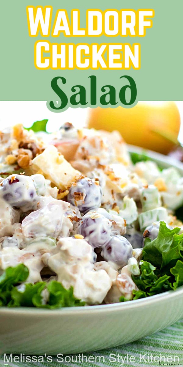 Enjoy a generous serving of this Waldorf Chicken Salad as a light meal or between meal snacking #chickensalad #waldorfsalad #chickenrecipes #easychickenrecipes #salads #saladrecipes #dinner #dinnerideas #fruitsalad #southernfood #southernrecipes