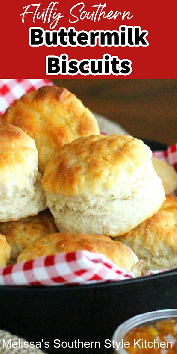 Bake a batch of these spectacular Fluffy Southern Buttermilk Biscuits to go with any meal #buttermilkbiscuits #southernbiscuits #biscuits #biscuitrecipes #southernfood #southernrecipes #bread #breakfast #brunch #holidaybrunch #bestbiscuits #bestbiscuitrecipes #holidaybrunch #fallbaking
