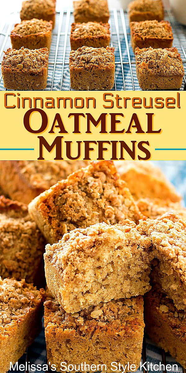 Cinnamon Streusel Oatmeal Muffins