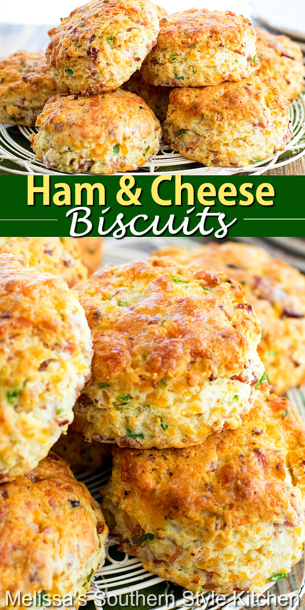 These Ham and Cheese Biscuits are filled with colby jack cheese and smoked ham. They're a spectacular way to enjoy classic biscuits in a new way. #hamandcheesebiscuits #hambiscuits #southernbiscuits #biscuitrecipes #ham #cheesebiscuits #brunch #breakfast #ham #holidaybrunch #christmas #easterbrunch #southernfood #southernrecipes via @melissasssk