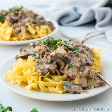 Ground Beef Stroganoff with noodles on a plate