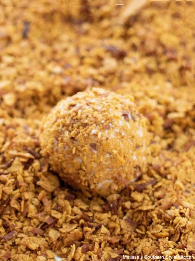 ingredients-to-make-fried-ice-cream