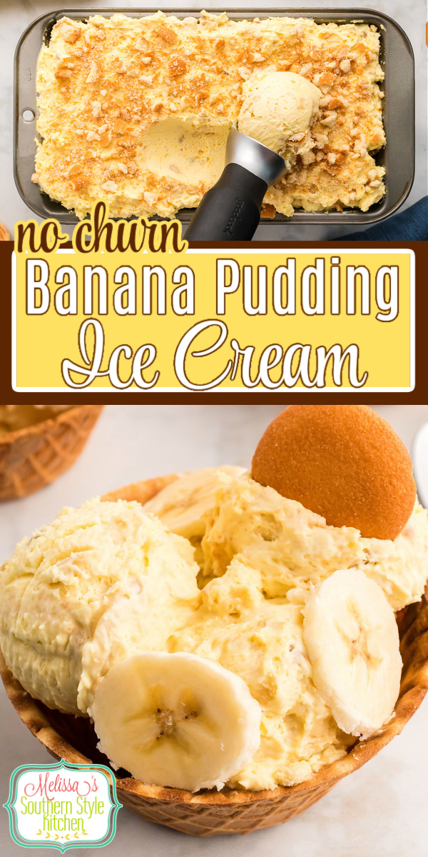 Turn a Southern classic into this recipe for creamy no churn Banana Pudding Ice Cream that requires no special equipment to make #nochurnicecream #icecreamrecipes #bananapuddingrecipes #southernbananapudding #easybananapuddingrecipe #easyicecreamrecipes #southernbananapudding via @melissasssk