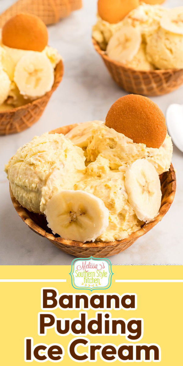 Turn a Southern classic into this recipe for creamy no churn Banana Pudding Ice Cream that requires no special equipment to make #nochurnicecream #icecreamrecipes #bananapuddingrecipes #southernbananapudding #easybananapuddingrecipe #easyicecreamrecipes #southernbananapudding via @melissasssk