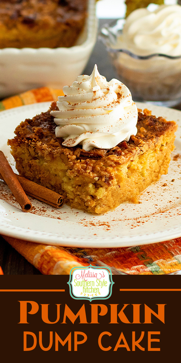 This easy Pumpkin Dump Cake is sprinkled with an irresistible praline pecan topping ideal for fall and holiday gatherings #pumpkincake #pumpkindumpcake #dumpcakerecipes #pralinepecans #thanksgivingdesserts #easydumpcakerecipes