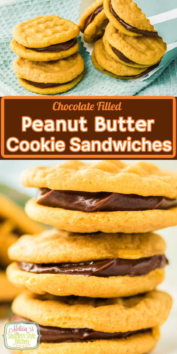 These Peanut Butter Cookie Sandwiches are filled with chocolate ganache for the ultimate cookie treat #peanutbutter #peanutbuttercookies #sandwichcookies #chocolate #chocolateganache #ganacherecipes #cookierecipes #easypeanutbuttercookies via @melissasssk