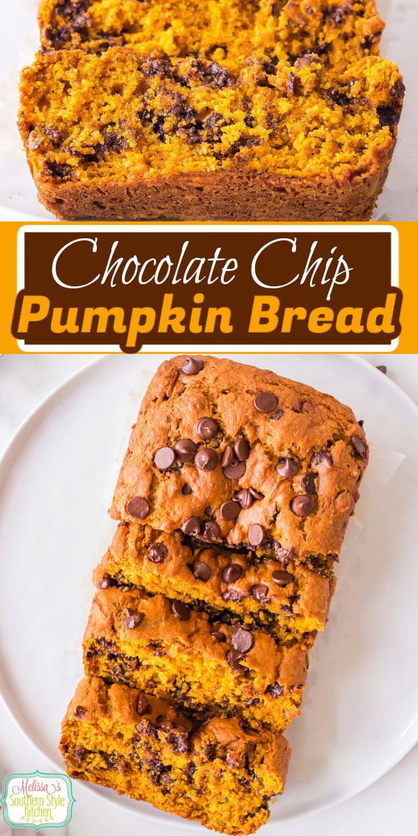 This Chocolate Chip Pumpkin Bread recipe elevates classic pumpkin bread guaranteed to delight the chocolate lovers in your life. #pumpkinrecipes #pumpkinbread #fallrecipes #pumpkin #breadrecipes #chocolatechipbread #chocolatechippumpkinbread via @melissasssk