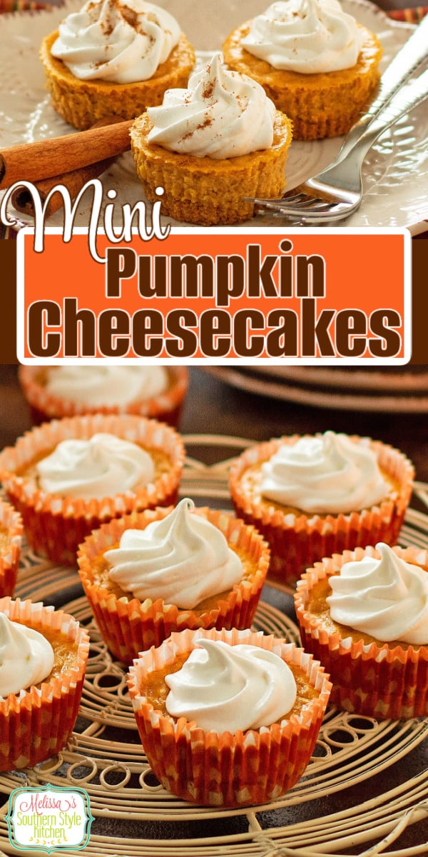 Mini Pumpkin Cheesecakes - melissassouthernstylekitchen.com