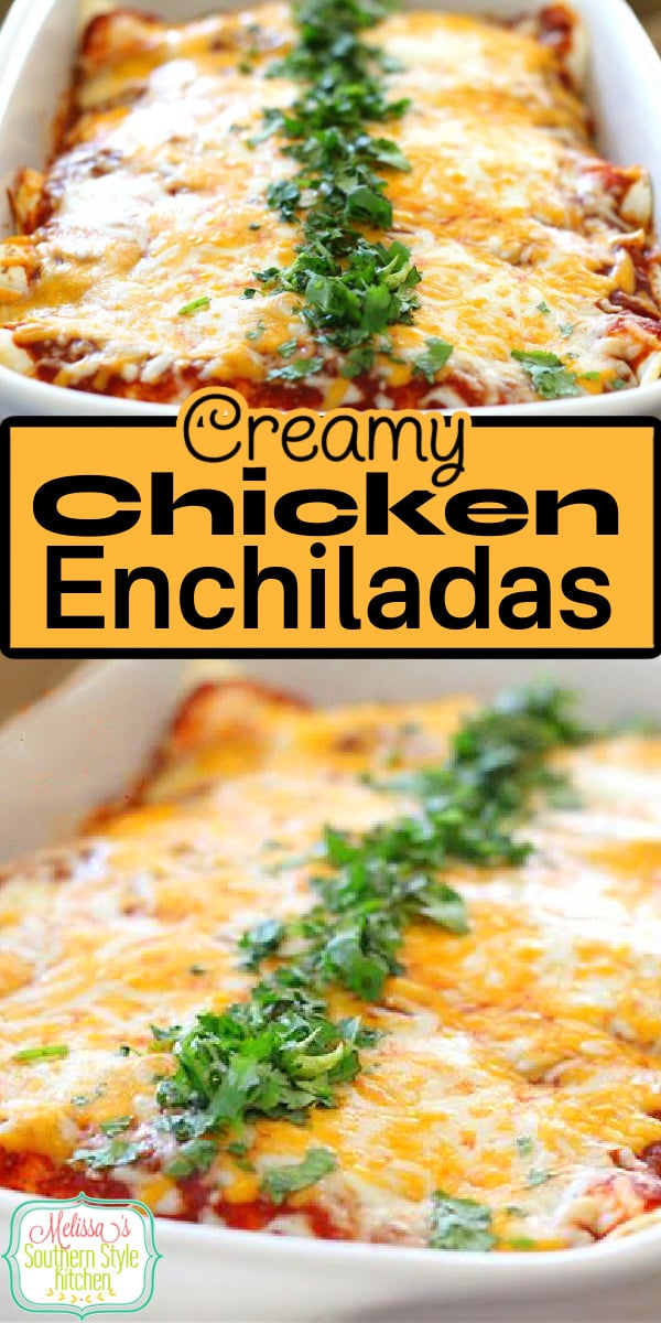 Enjoy a homestyle fiesta with these Creamy Chicken Enchiladas #chickenenchiladas #chickenrecipes #enchiladas #chicken #mexicanfood #southernrecipes #dinnerideas #dinner #southernfood via @melissasssk