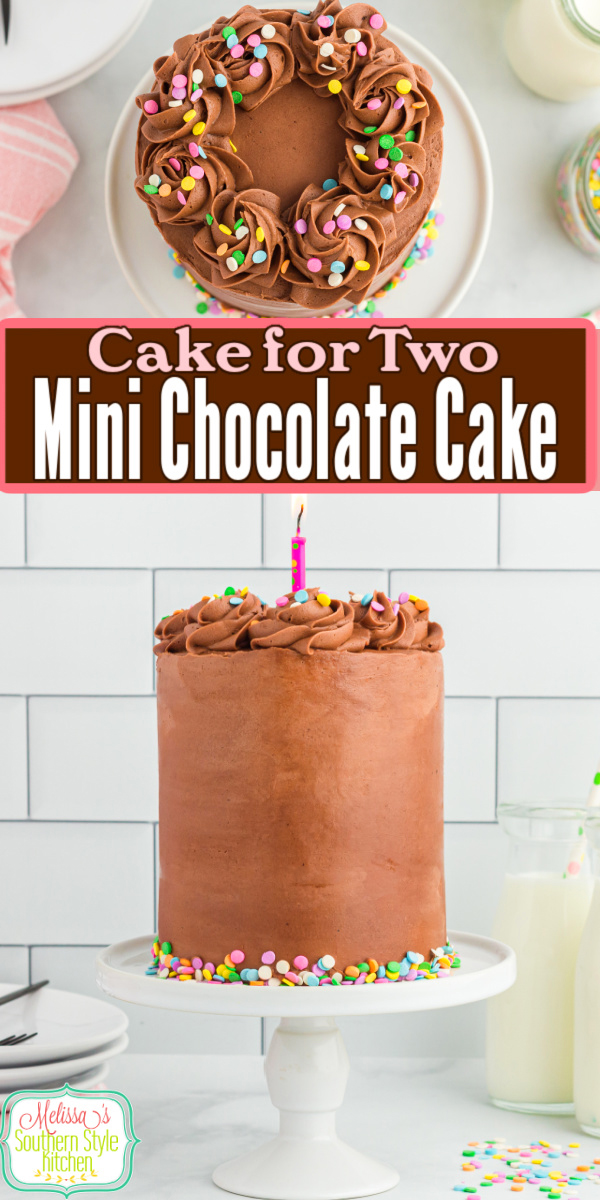 Small Batch Mini Chocolate Cake made in small pans for two. Rich, moist, and perfect when you want dessert without leftovers. #chocolatecake #minicakes #minichocolatecake #birthdaycake #valentinesday #christmasdessert via @melissasssk