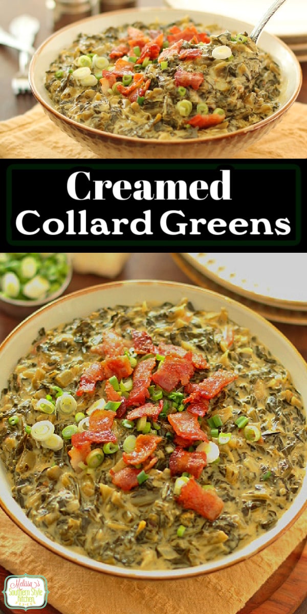 These easy Creamed Collard Greens are perfectly seasoned with bacon and a decadent homemade cream sauce that takes them to a whole new level. #collardgreens #creamedcollargegreens #southerngreensrecipe #easysidedishrecipe #holidayrecipes via @melissasssk