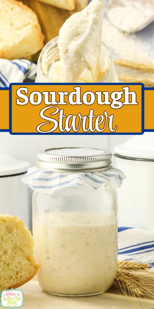 The harmonious blend of natural yeasts in this Sourdough Starter recipe is the magic behind your tangiest most flavorful bread recipes. #sourdoughstarter #breadstarter #sourdoughbread #easysourdoughstarter via @melissasssk