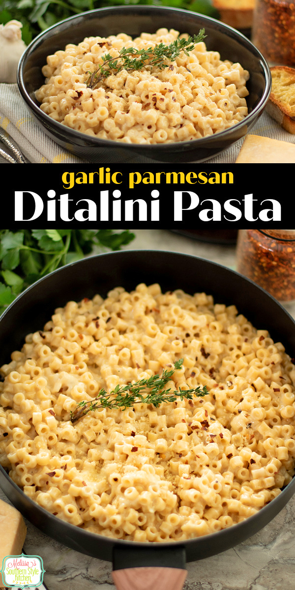Creamy Ditalini Pasta is an easy comfort food recipe made with tender pasta and a rich, velvety sauce, perfect for quick weeknight dinners. #pastarecipes #ditalinipasta #onepotmeals #easyrecipes #dinnerideas via @melissasssk