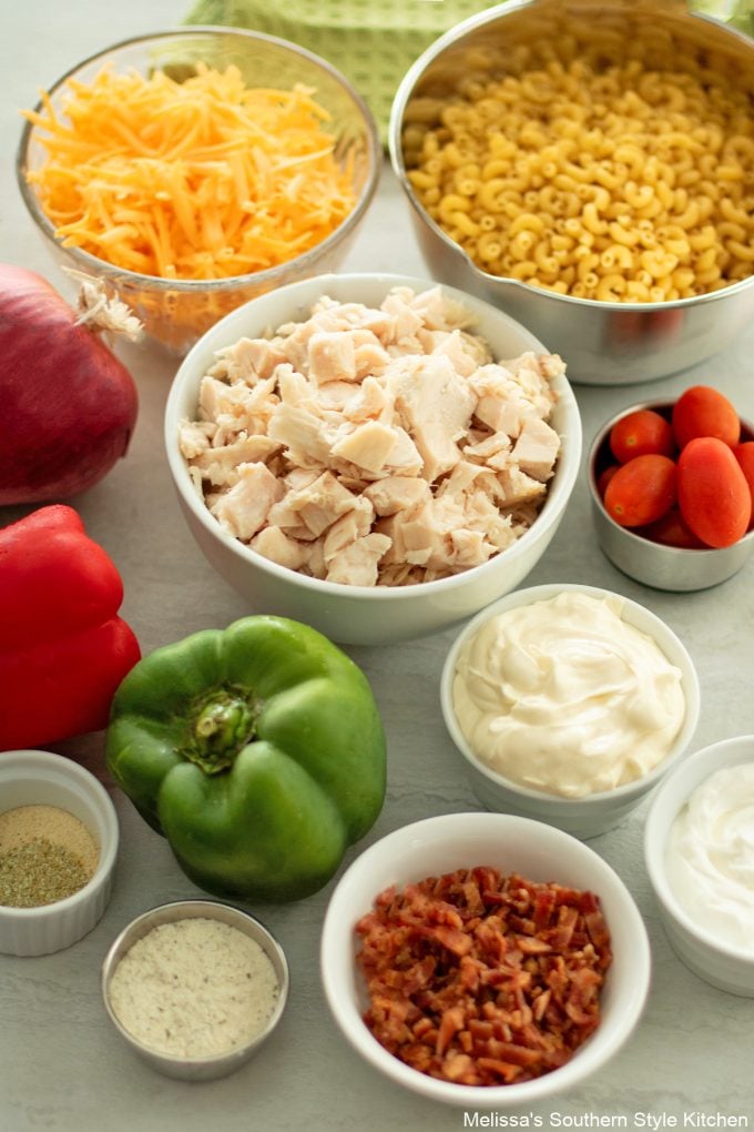 ingredients-to-make-chicken-macaroni-salad-recipe