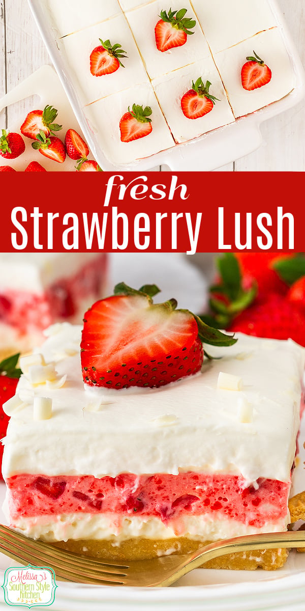 Creamy, cool and bursting with strawberry flavor, this easy Strawberry Lush is the ultimate no-bake dessert for summer parties, potlucks and holidays. With layers of cheesecake filling, strawberry Jello and fluffy whipped cream, every bite is light, luscious and irresistible. #StrawberryLush #NoBakeDessert #StrawberryDessert #EasyDessertRecipe #SummerDesserts #PotluckDesserts #DessertRecipes #CreamCheeseDessert #JelloDessert #SouthernDesserts #MakeAheadDessert #StrawberryRecipes #PartyDesserts via @melissasssk