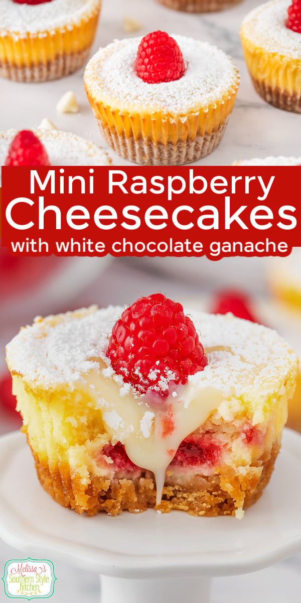 These Raspberry Mini Cheesecakes are the perfect bite-sized dessert! A buttery Oreo crust is topped with creamy lemon-kissed cheesecake, a vibrant raspberry swirl, and silky white chocolate ganache. Finished with fresh raspberries, they&rsquo;re an elegant treat for holidays, parties, showers, and special occasions. #RaspberryMiniCheesecakes #MiniCheesecakes #RaspberryCheesecake #CheesecakeRecipe #MiniDesserts #BiteSizedDesserts #OreoCrust #RaspberryDesserts #PartyDesserts #EasyDesserts #DessertRecipes #HomemadeCheesecake via @melissasssk